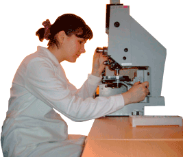 Пыльца под микроскопом