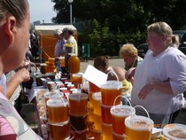 Выставка-ярмарка 2008 год