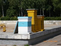 Многокорпусные улья на выставке в центре города