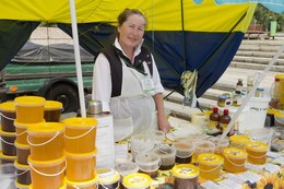 Выставка 14 августа 2012 год