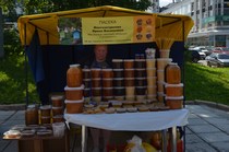 Пасека Мингазетдинова Ирина Васильевна 2015 г.