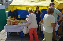 Выставка 14 августа 2015 год