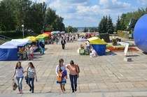 Пчеловод Редькин Михаил Васильевич с дипломом