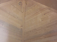 Пчелиный апидомик