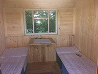 Пчелиный апидомик