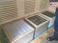 Пчелиный апидомик