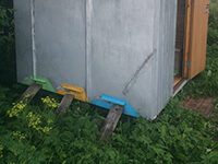 Пчелиный апидомик