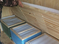 Пчелиный апидомик