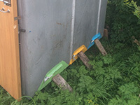 Пчелиный апидомик