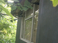 Пчелиный апидомик