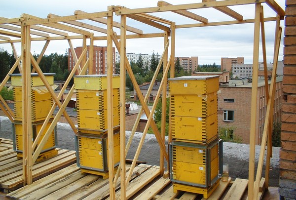 многокорпусные улья