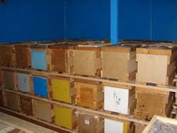 Кочевая пасека, в домике улья