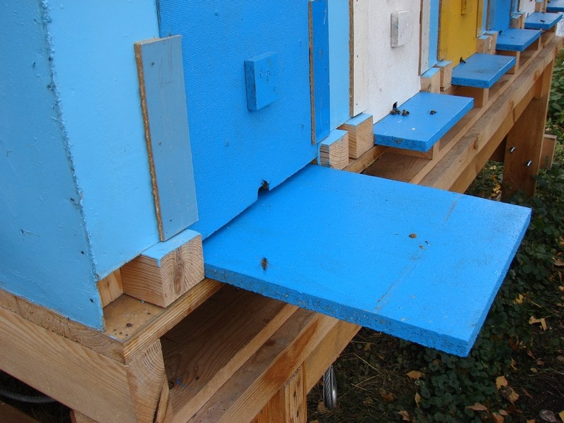 Дно улья выдвинуто