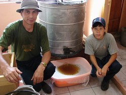 Выкачивание меда с медогонки