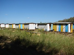 Кочевая пасека пчелосемей на выезде