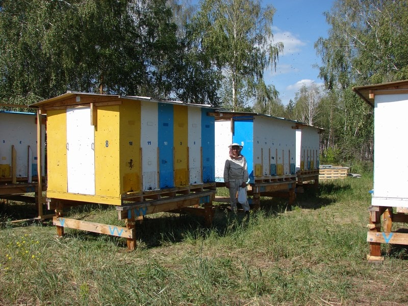 Съемные павильоны на пасеке