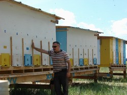 Павильоны пчелосемей