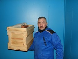 Павильонное содержание пчелосемей, улей на 8 рамок» 2015