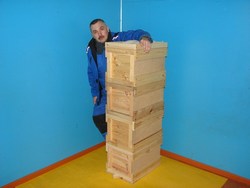 Павильонное содержание, улей на 8 рамок» 2015