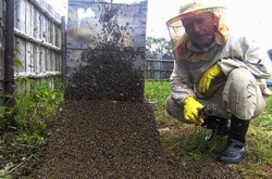 Пчеловод Удмуртии Антропов Андрей