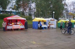 Палатки пчеловодов. Ярмарка-гуляние «Золотая осень - 2015»