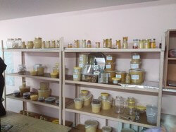 Семинар по пчеловодству в Доме Пчеловодов, г. Ижевск