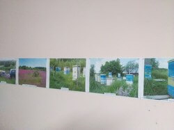 Семинар по пчеловодству в Доме Пчеловодов, г. Ижевск