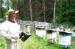 Глазов.Толкачев Ю.Н. на пасеке с дымарем