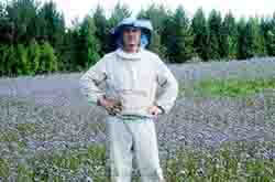 Глазов. Толкачев Ю.Н. На фоне фацелии. Собственный посев для пчел