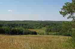 Глазов. Толкачев Ю.Н. Просторы вокруг пасеки