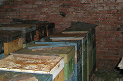 Глазов. Толкачев Ю.Н. Фрагмент подземного омшанника для пчел под домом на пасеке