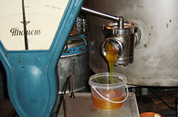 Толкачев Ю.Н. Фасовка меда на пасеке из агрегата отстойника-дозревателя