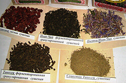 Глазов. Толкачев Ю.Н. Собственное производство ферментированного, гранулированного иван-чая с таволгой