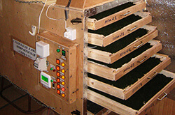 Глазов. Толкачев Ю.Н. Сушилка с инфракрасн. раздельными пленками, с автоматич. контролем температуры и принудит. вытяжкой на 6 поддонов