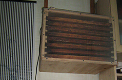 Глазов. Толкачев Ю.Н. Излучатель полостных структур из пчел. суши в квартире