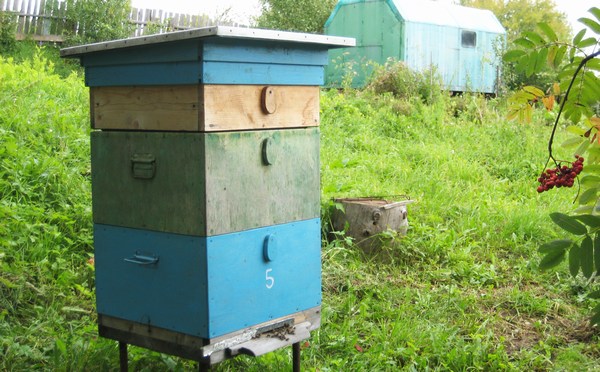 Улей на пасеке