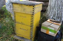 Праздник в Удмуртии «Великие Спасы» 2015