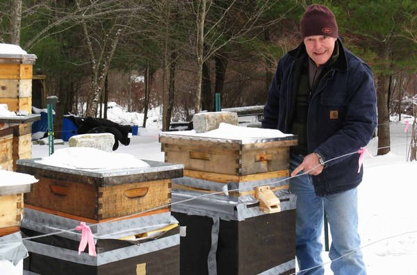 Работа с пчелами зимой