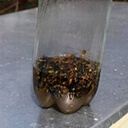 Борьба с осами