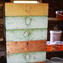 Работа на пасеке осенью