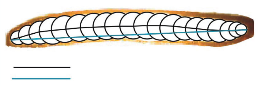 центры вписанных в эту фигуру окружностей