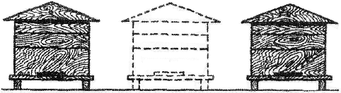 Схема деления пчелинной семьи