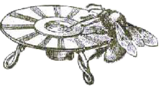 Шмель на искусственной кормушке