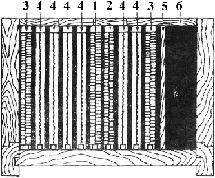 Схема устройства гнезда пчел