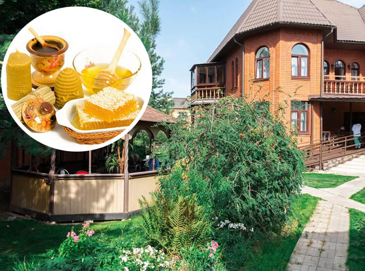 Продукты пчеловодства пожилым людям