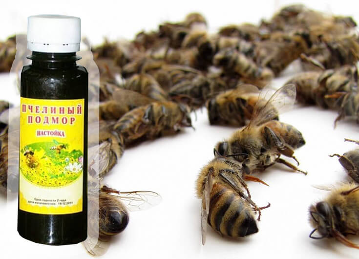 Как вылечить геморрой с помощью пчелиного подмора