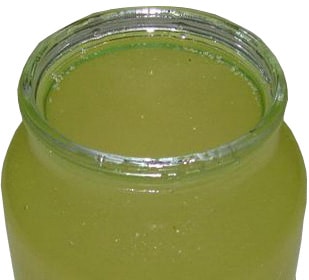 Зеленоватый цвет меда кипрейного