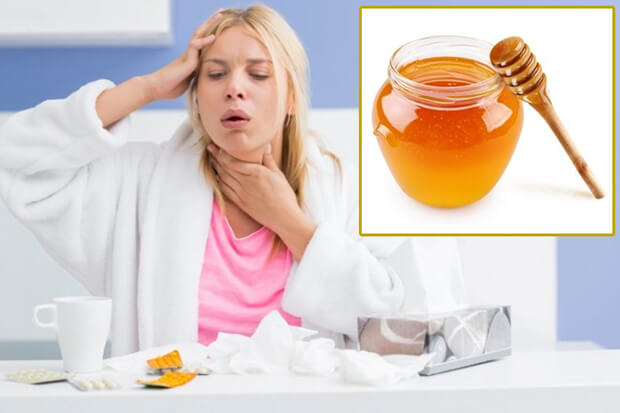 Лечение кашля медом