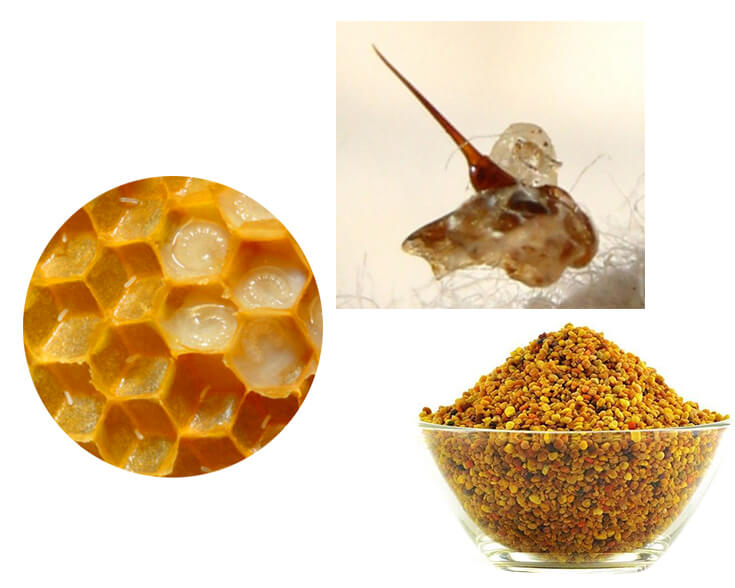 Продукты пчеловодства