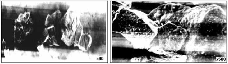 Магнитный материал пчел при различных увеличениях